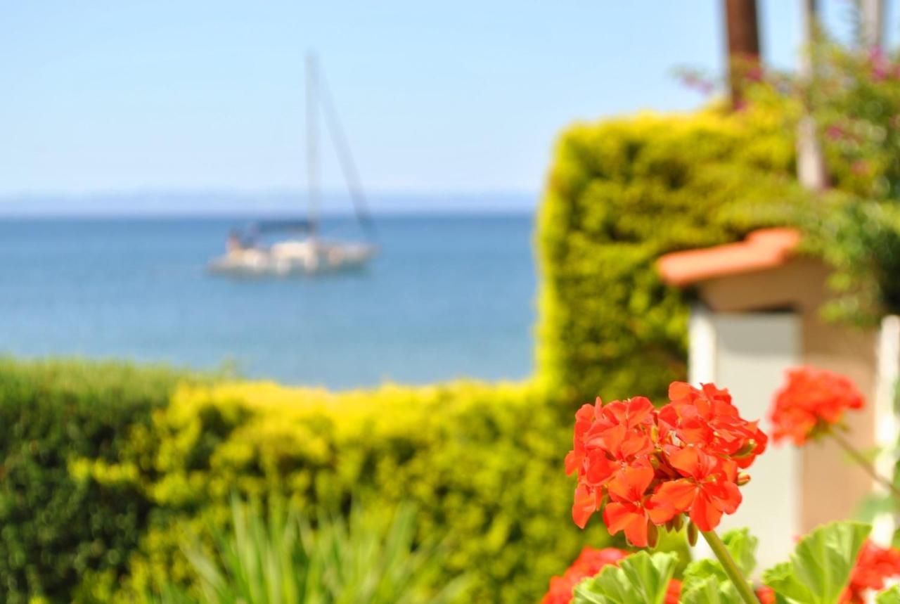 Christina's Sea House * Никити